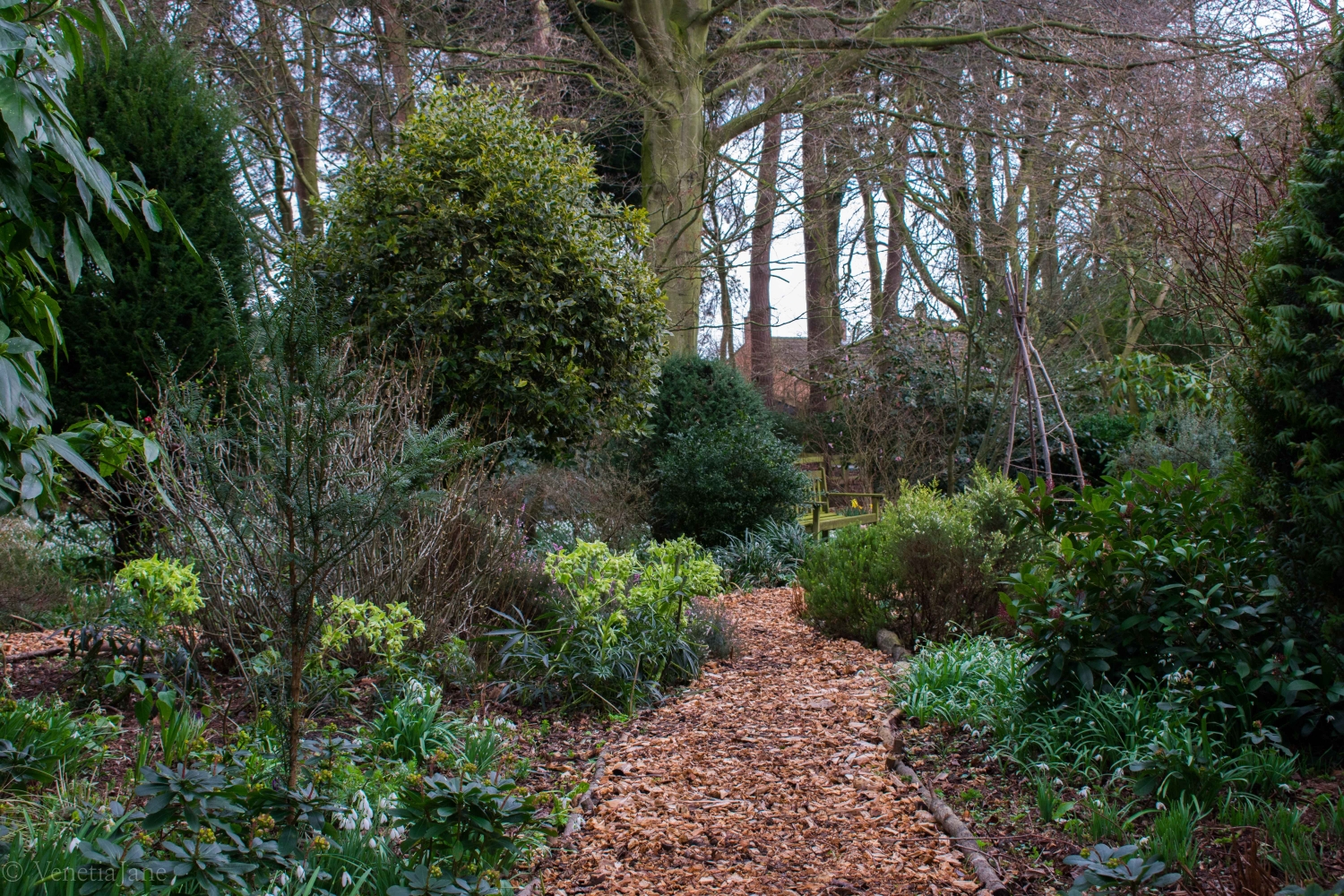 King's Arms Garden, Ampthill, Bedfordshire, MK45 2PP National Garden